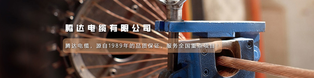 腾达电缆有限公司