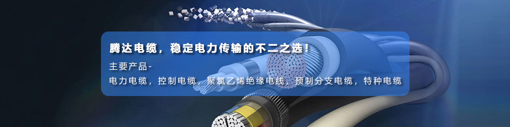 腾达电缆有限公司