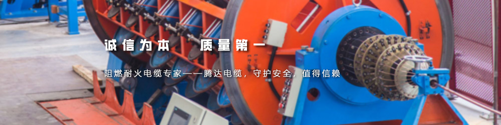腾达电缆有限公司